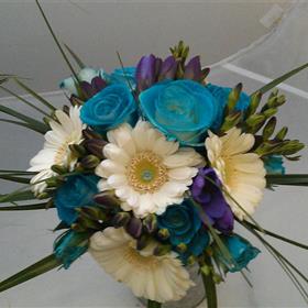 fwthumb1142013 1046.jpg